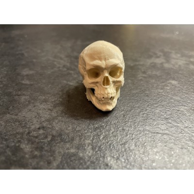 Decoration - Little Skull "Halloween"